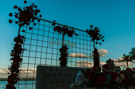 The rose-dressed grid backdrop against the evening sky