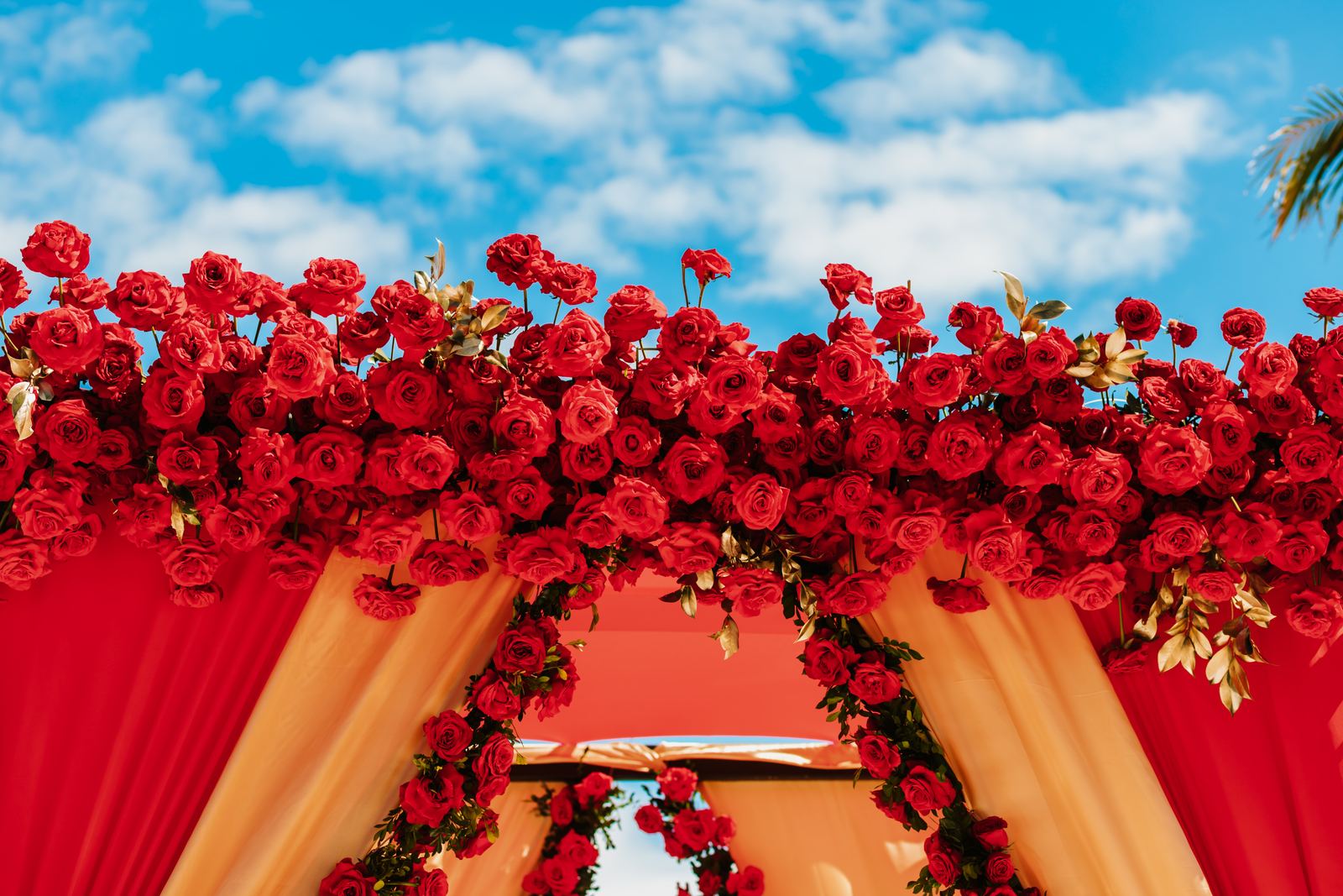 Looking up into a mandap canopy crowned with red roses and draped in champagne and red, under a blue sky